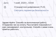 screenshot_20241105_201826-kopiya_2025-03-28_08-39-31